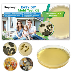 Mold Test Kit for Home - 12 Simple Detection Tests,Test HVAC System,Home Surfaces,& Indoor Air Quality Testing Kits,DIY Mold