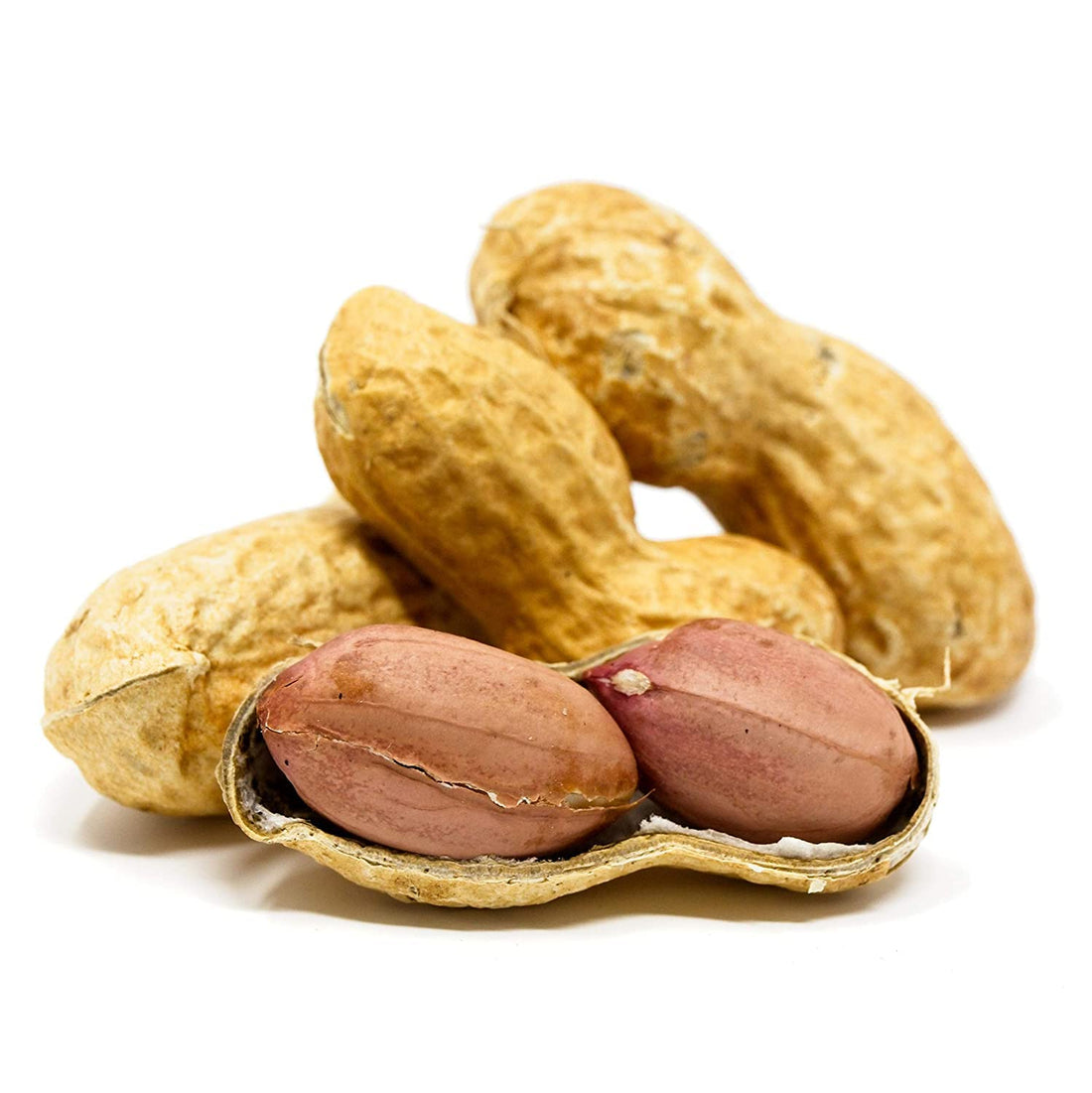Sky Ecommerce Crazy Nuts | USA Grown Whole in Shell Raw Peanuts for Birds and Squirrels, 10lb | Whole in Shell Peanuts for