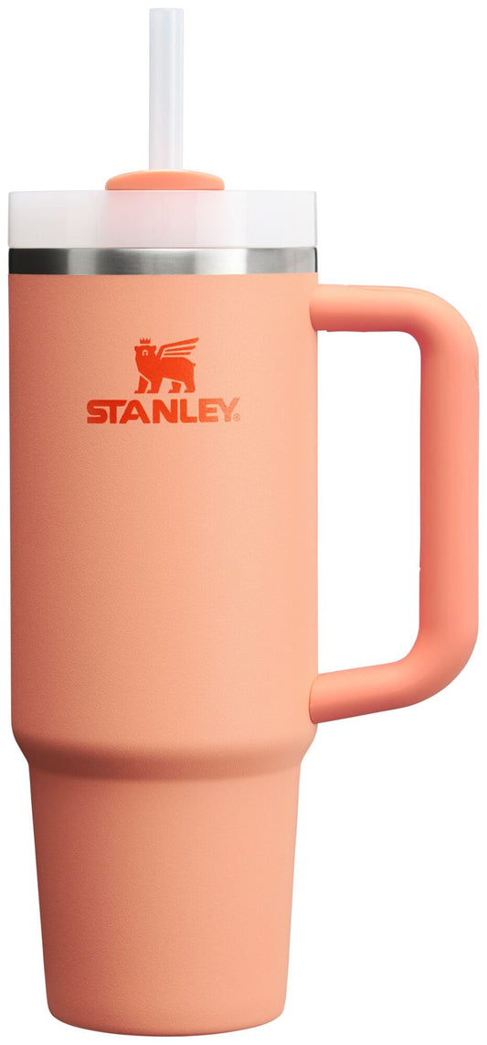 Stanley Quencher H2.0 Tumbler with Handle & Straw 30 oz | Twist On 3-Way Lid | Cupholder Compatible for Travel | Insulated