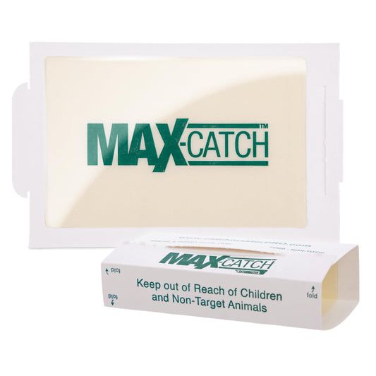 Catchmaster Max-Catch Mouse & Insect Glue Trap 72pk, Mouse Traps Indoor for Home, Sticky Pest Control Adhesive Tray for