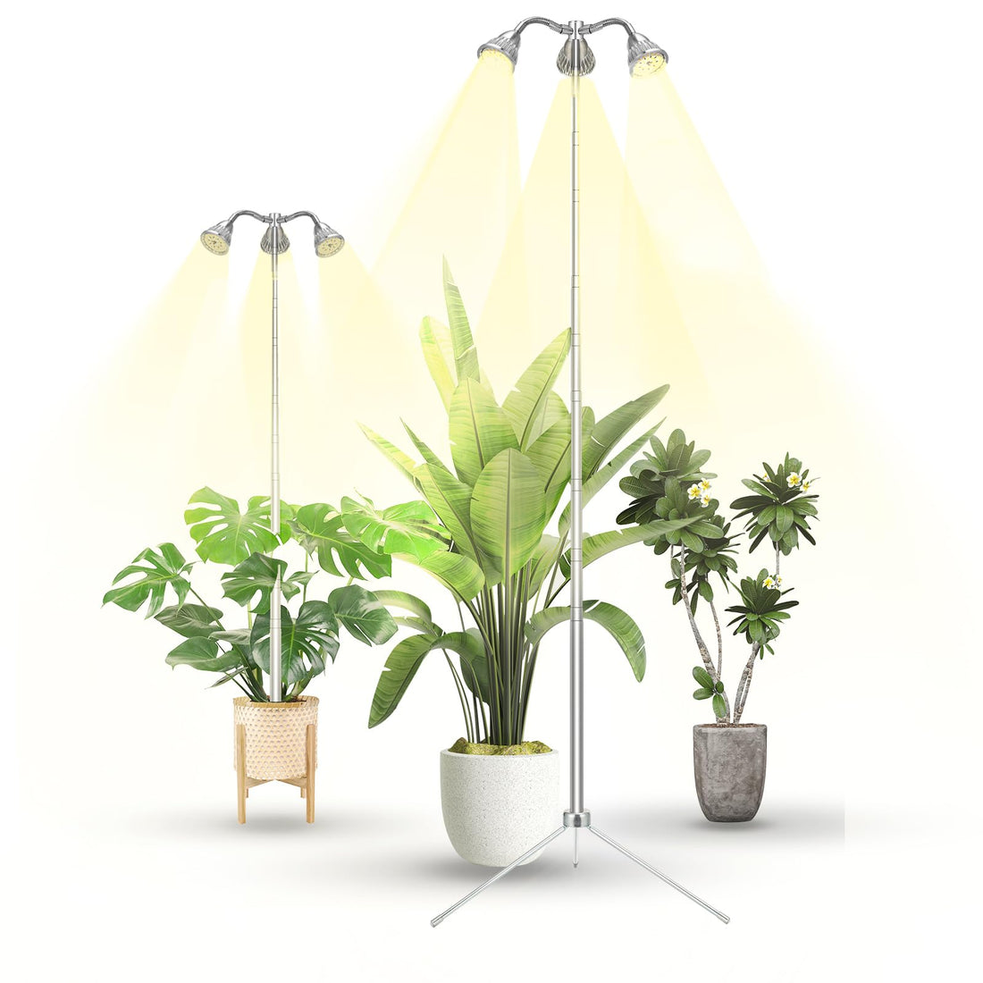 TAURUSY Grow Lights for Indoor Plants Full Spectrum with Detachable Tripod Stand, 10-55 Inches Height Adjustable Aluminum