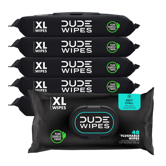 DUDE Wipes - Flushable Wipes - 6 Pack, 288 Wipes - Mint Chill Extra-Large Adult Wet Wipes - Vitamin-E, Aloe, Eucalyptus &