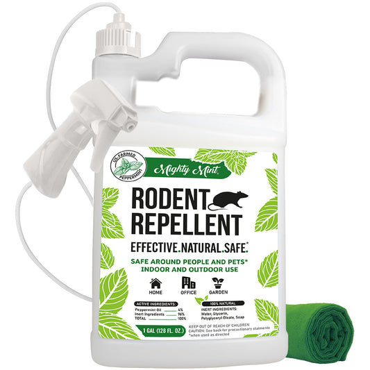 Mighty Mint Gallon (128 oz) Rodent Natural Peppermint Oil Spray Drugstore by Mighty Mint