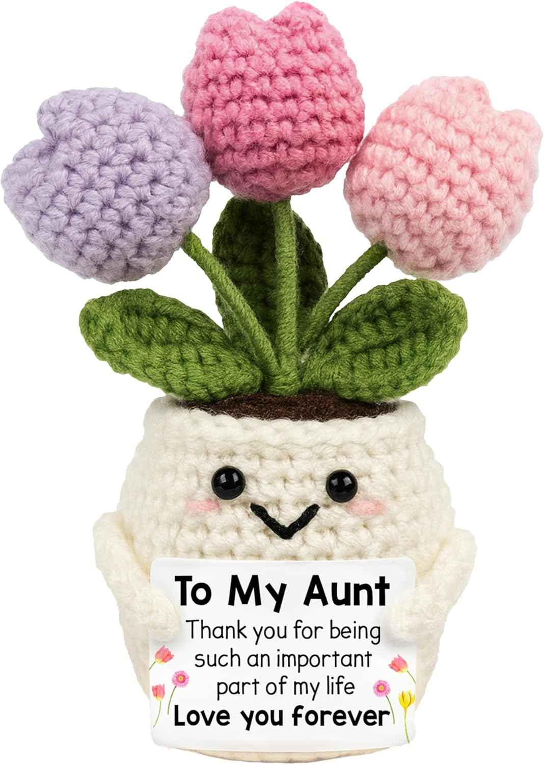 Aunt Gifts - Auntie Christmas Birthday Gifts for Aunt from Nephew Niece