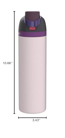 Owala FreeSip Insulated Stainless Steel Water Bottle with Straw for Sports, Travel, and School BPA-Free Sports Water Bottle, 32 oz, Dreamy Field