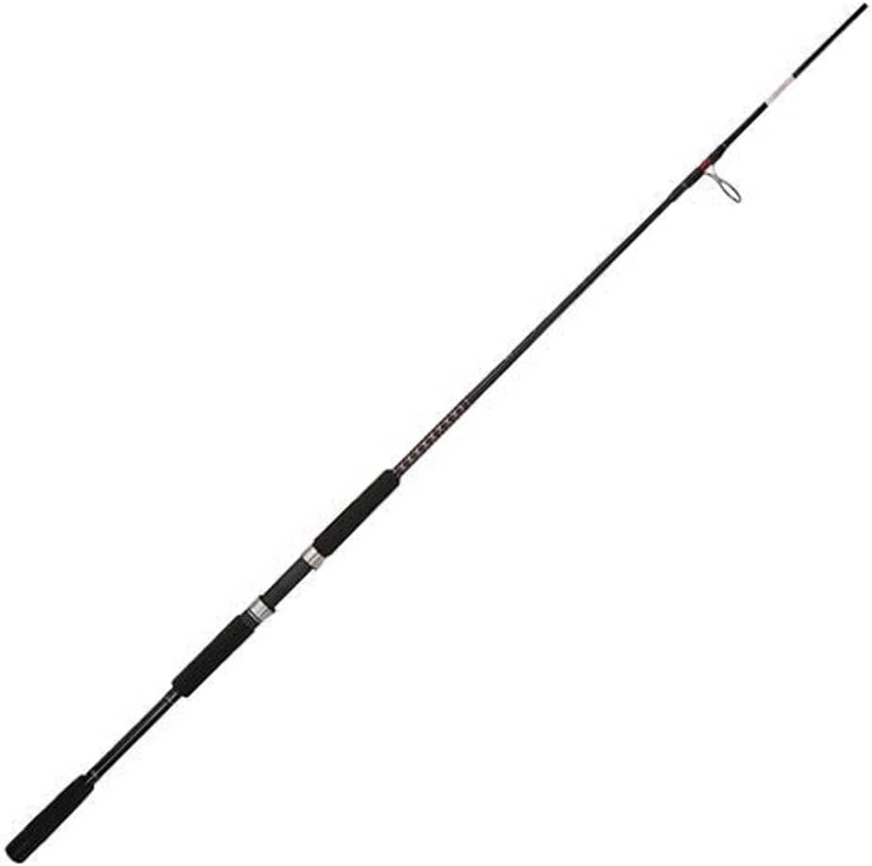Ugly Stik Bigwater Spinning Fishing Rod