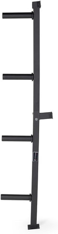 Titan Fitness Weight Plate Wall Mounted Storage Rack, Angled 4-Peg Design, Olympic Sized Weight Plate Organizer, Rated 800 LB, Anchored Wall Mounted Storage