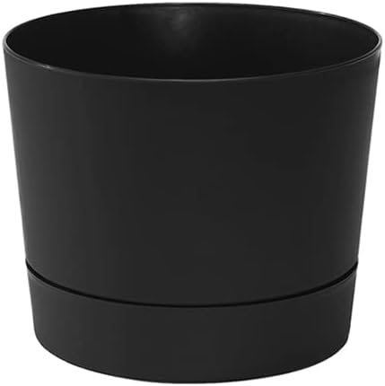 Root & Vessel Majestic Mid-Century Modern Low Profile Cylinder Pot, Matte Black, 4.5"