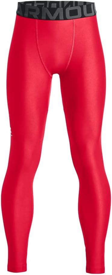 Under Armour Kids HeatGear® Armour Leggings (Big Kids)