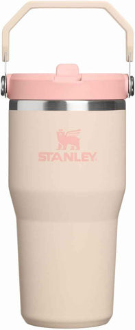 STANLEY IceFlow 2.0 Flip Straw Tumbler, 20 oz, Champagne