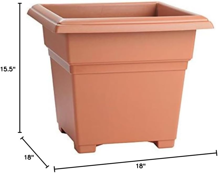 Root & Vessel Countryside Square Planter, Terra Cotta, 18-Inch