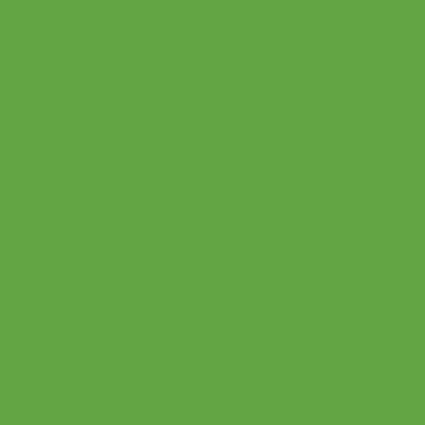 Rust-Oleum Construction Marking Spray Paint, Water-Based, Fluorescent Green