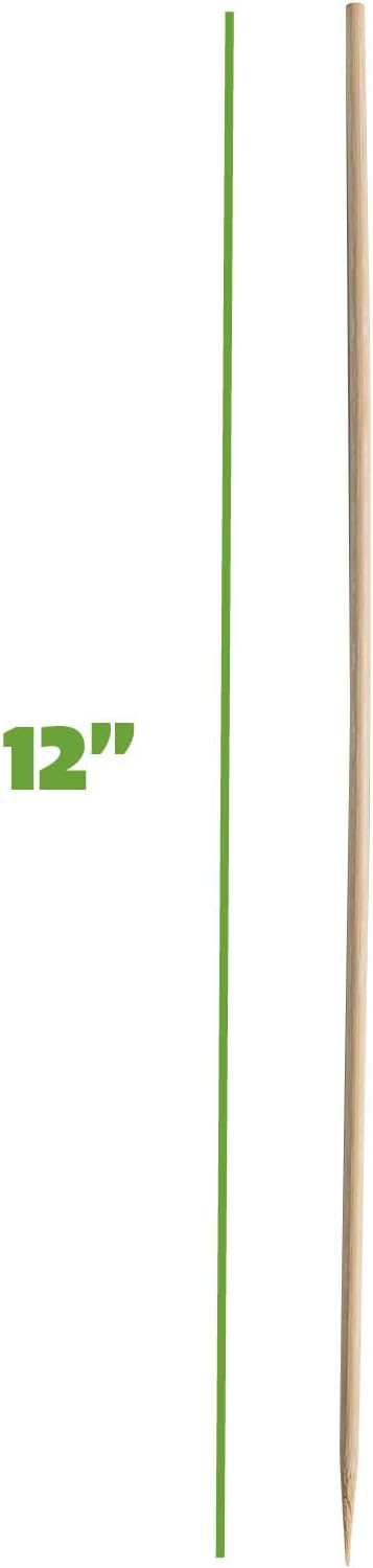 GUSTO 12 Inch Bamboo Skewers [100 Count] Wooden Shish Kabob, Smores Stick