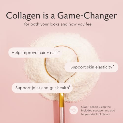 Alaya Multi Collagen Powder - Type I, II, III, V, X Hydrolyzed Collagen Peptides Protein Powder Supplement with MSM + GC (Unflavored) (40 Servings)