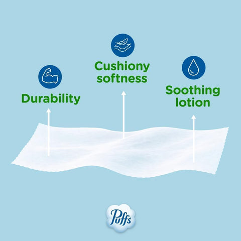 Puffs Facial Tissues Plus Lotion, 24 Family Rectangle Boxes, 124 Facial Tissues per Box, Allergies and Colds (Packaging May Vary)