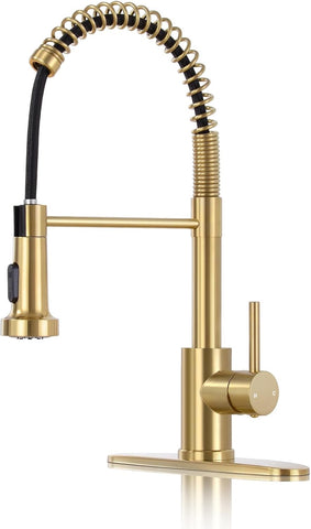 DJS Kitchen Sink Faucet with Pull Down Sprayer Single Handle Brushed Gold