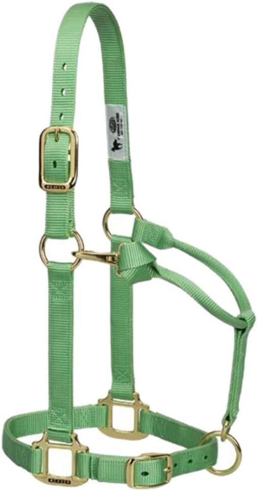 Weaver Leather Original Adjustable Nylon Horse Halter, Weanling/Pony, Diva Pink