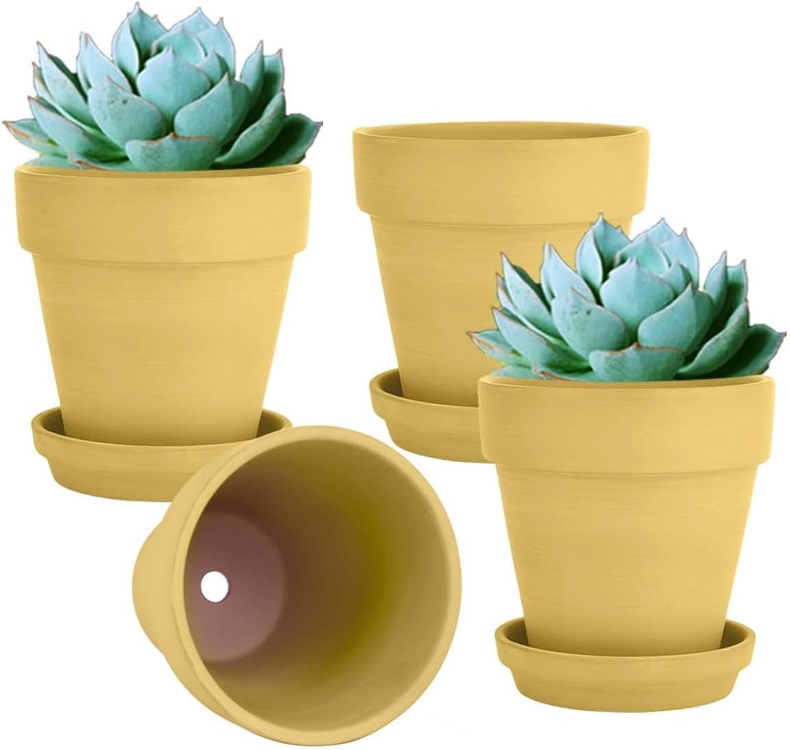 vensovo 6 Inch Yellow Terracotta & Clay Pots with Saucer, 4 Pack
