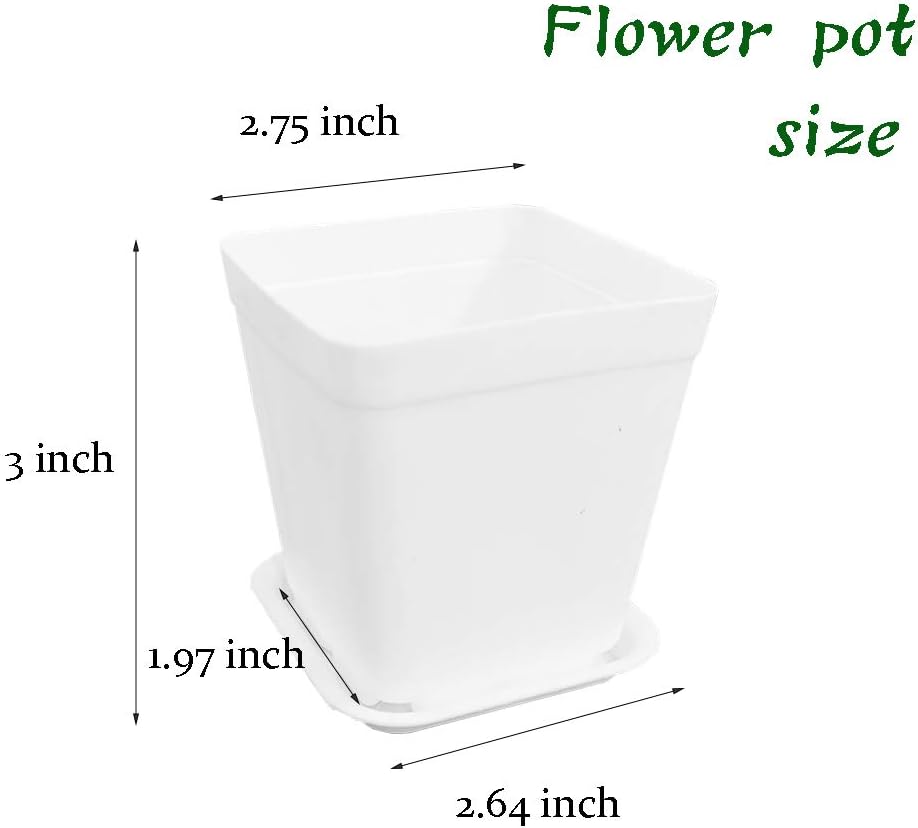 24 Pack 3 Inch White Square Plastic Plant Pots with Saucers,Nursery Seedling Pots with Drainage Hole,Small Planter Containers for Succulents,Flowers,Indoor Outdoor Garden,Home Office Balcony Decor