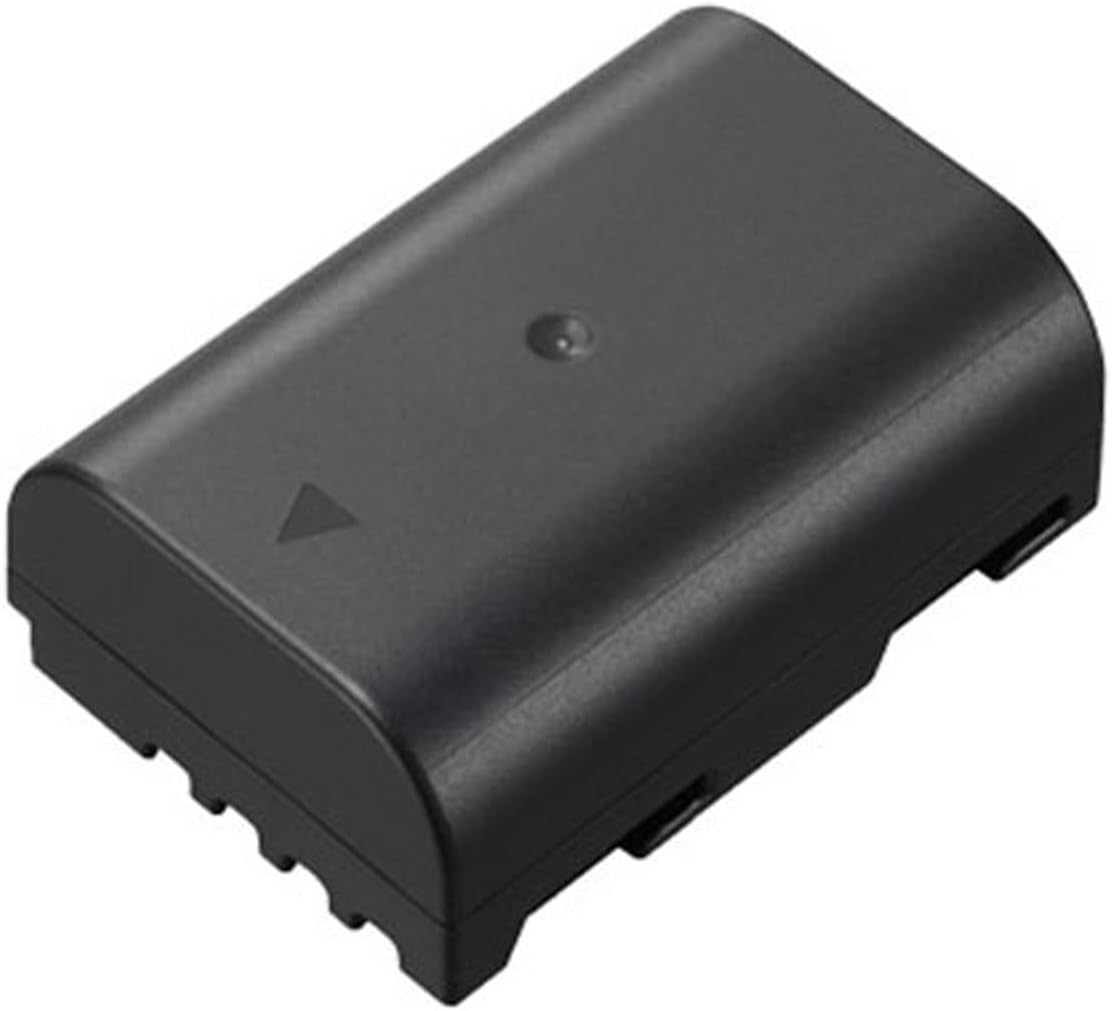 Panasonic DMW-BLF19 Lithium-Ion Battery Pack (Black)