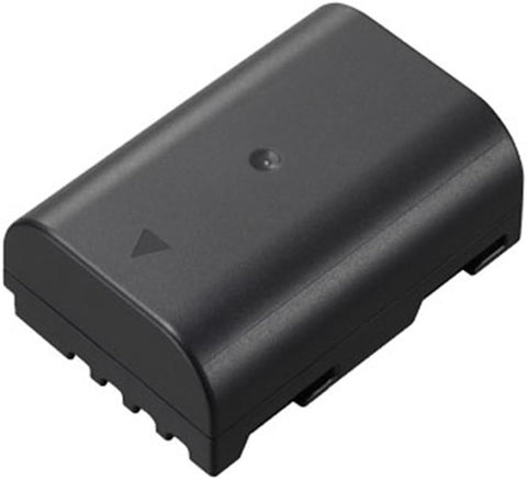 Panasonic DMW-BLF19 Lithium-Ion Battery Pack (Black)
