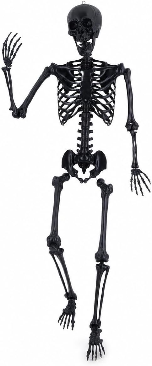 Life Size Skeleton, 5.4Ft/165cm Halloween Skeleton Poseable Skeleton Full Body Human Bones with Movable Joints for Indoor Outdoor Halloween Props Decorations (5.4FT& Black)