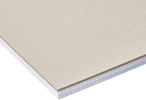 Amazon Basics Quad-Ruled Graph Paper Pad with Sturdy Back, Perforated, 8.5" x 11.75", White, 100 Sheets/Pad, 2-Pack