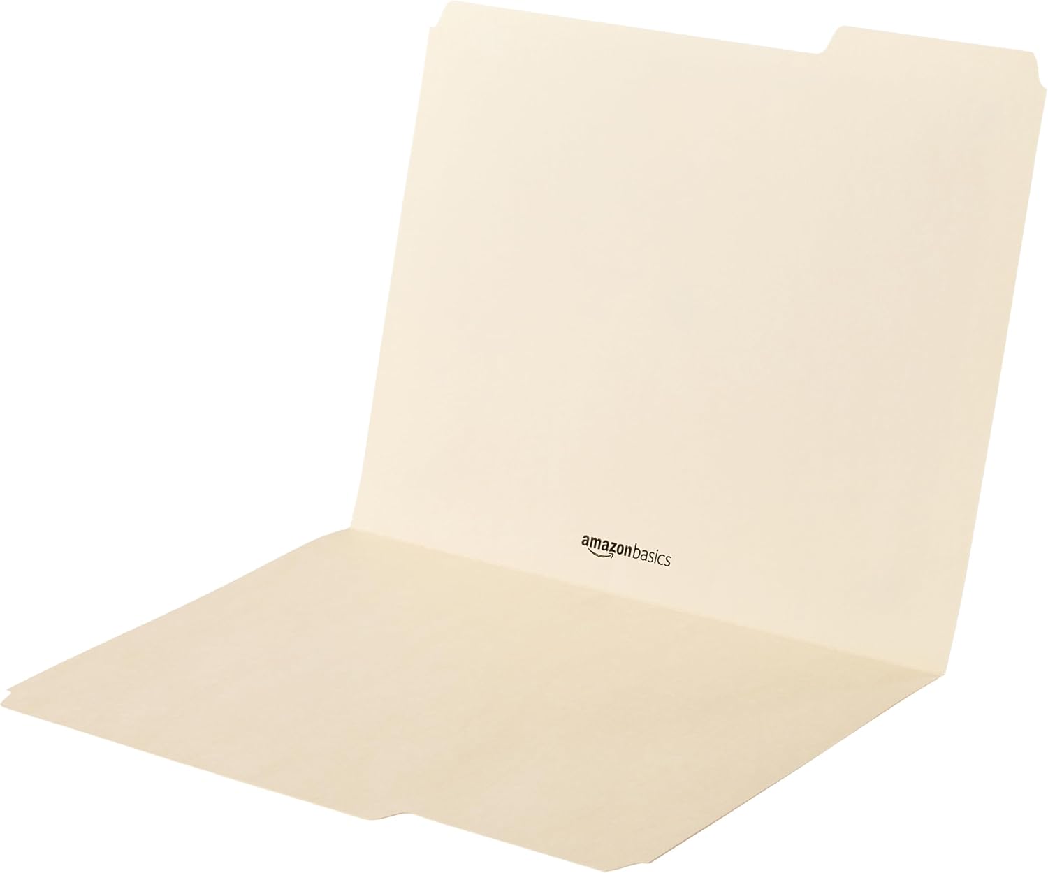 Amazon Basics Sturdy File Folders with Reinforced Tabs for Filing and Organization, 1/3-Cut Tab, Assorted Positions, Letter Size, 8.5x11 inches, Manila, 100-Pack