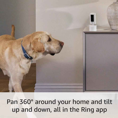 Ring Pan-Tilt Indoor Cam (newest model) — See all around your home or business with 360° pan coverage, HD video, plus Two-Way Talk (2024 release), Black