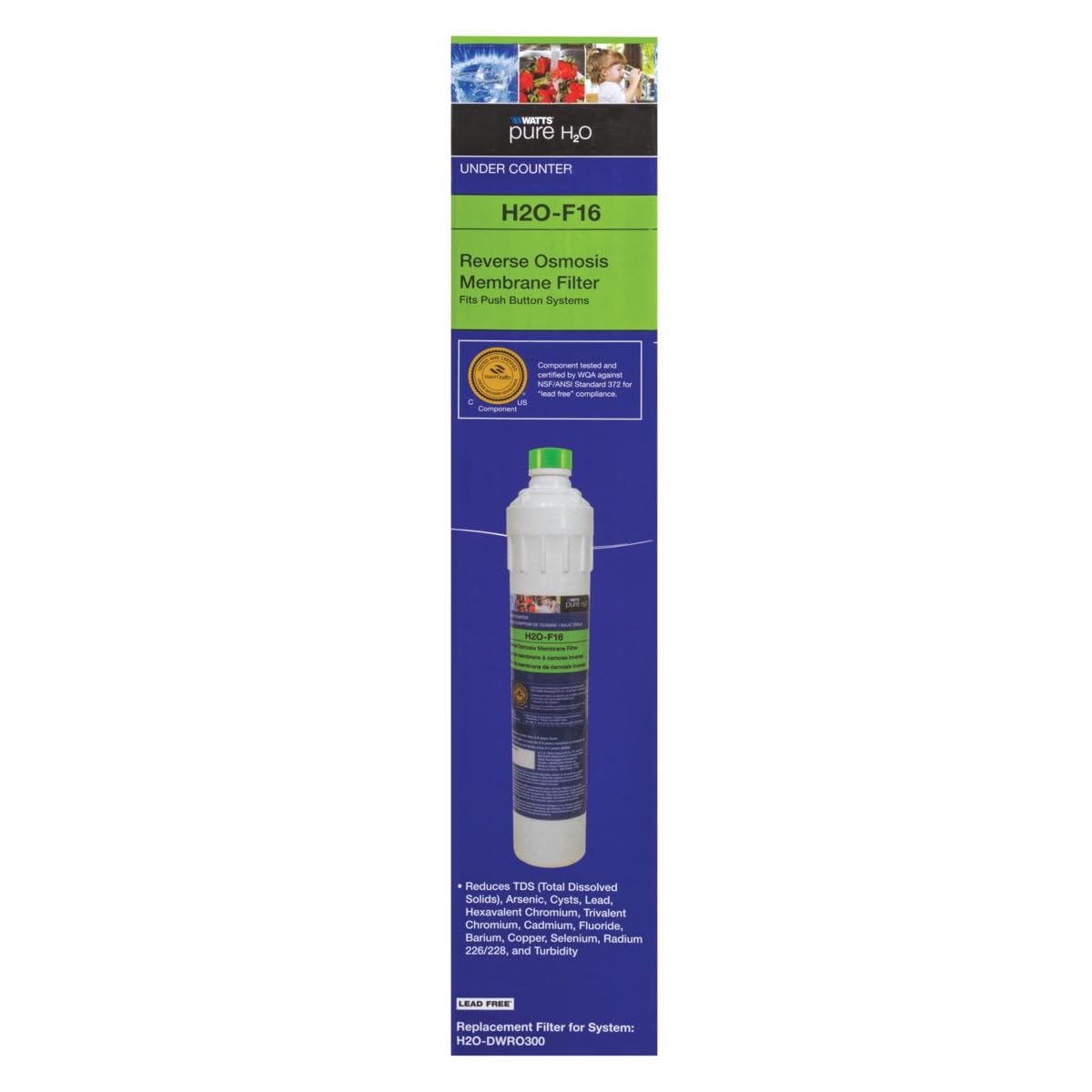 Watts Premier H2O-F16 Pure H2O 50 GPD RO Membrane Replacement Filter
