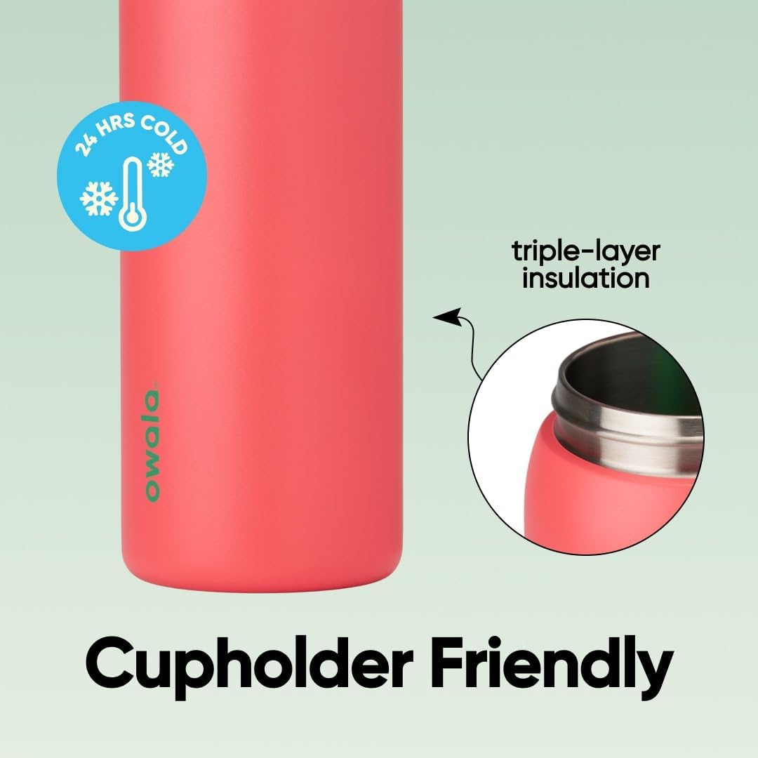 Owala FreeSip Stainless Steel Water Bottle 32 oz Strawberry Fields