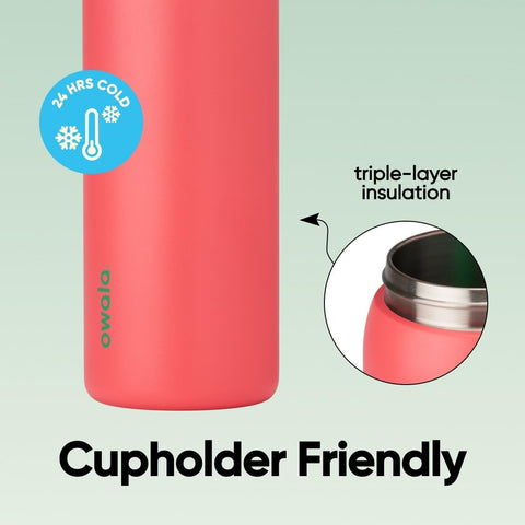 Owala FreeSip Stainless Steel Water Bottle 32 oz Strawberry Fields