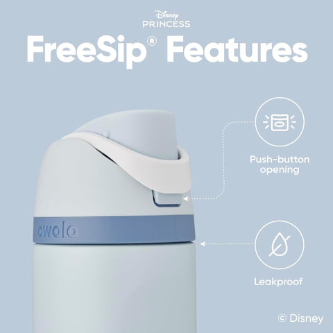 Owala Princess FreeSip Stainless Steel Water Bottle 24 oz Cinderella