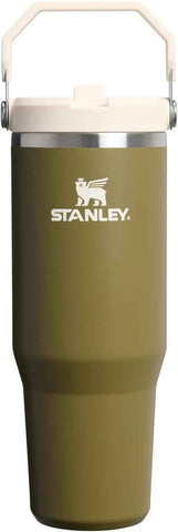 STANLEY IceFlow 2.0 Flip Straw Tumbler, 30 oz, Thyme