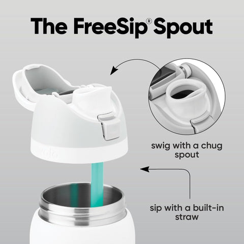 Owala FreeSip Stainless Steel Water Bottle 40 oz Crown Jewel
