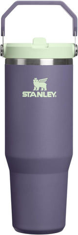 STANLEY IceFlow 2.0 Flip Straw Tumbler, 30 oz, Purple Umbra
