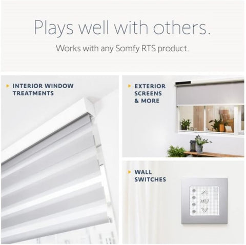 Somfy Situo Pure II RTS Single Channel Remote (Replaces Telis 1)