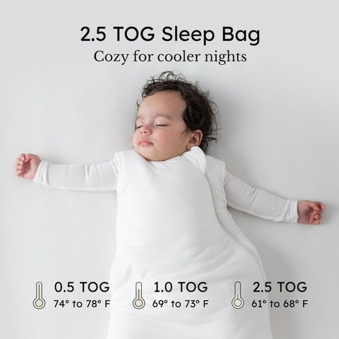 KYTE BABY Sleep Bag 2.5 TOG, Rayon Made From Bamboo Wearable Blanket, Dual Zipper For Infants And Toddlers Nursery Essentials