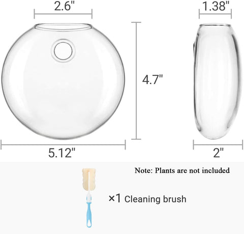 Mkono Wall Propagation Planters, 4 Pack Oblate Hanging Plant Holder Vase