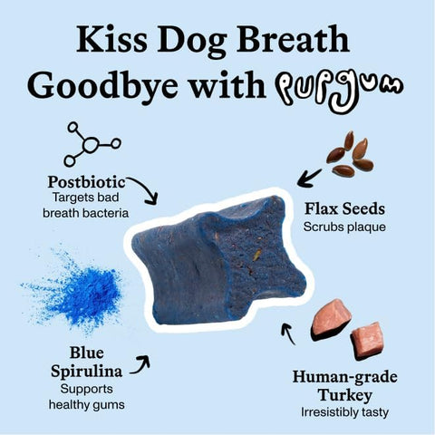 Spot & Tango PupGum Dog Dental Chews for Fresh Breath & Clean Teeth – Clinically Proven Ingredients – Human-Grade, Vet-Developed Daily Dental Treats for Dogs <15lbs – 28 Chews – Made in USA