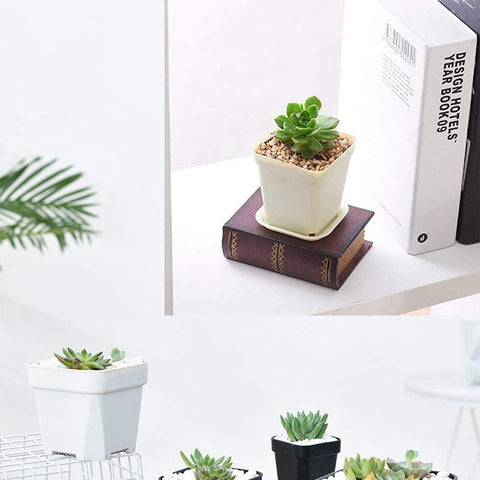 24 Pack 3 Inch White Square Plastic Plant Pots with Saucers,Nursery Seedling Pots with Drainage Hole,Small Planter Containers for Succulents,Flowers,Indoor Outdoor Garden,Home Office Balcony Decor