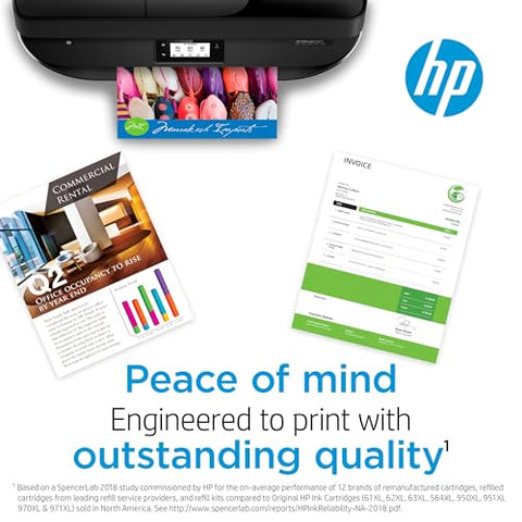 HP 65XL Black High-yield Ink Cartridge | Works with HP AMP 100 Series, HP DeskJet 2600, 3700 Series, HP ENVY 5000 Series | Eligible for Instant Ink | N9K04AN