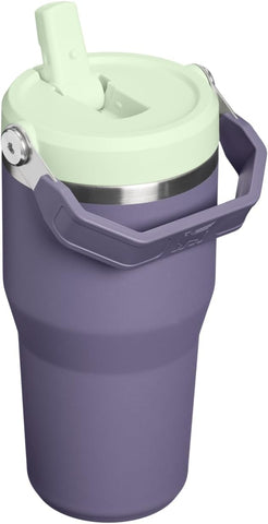 STANLEY IceFlow 2.0 Flip Straw Tumbler, 20 oz, Purple Umbra
