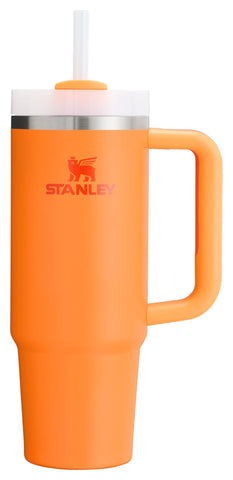 Stanley Quencher H2.0 Tumbler with Handle & Straw 30 oz | Twist On 3-Way Lid | Cupholder Compatible for Travel | Insulated Stainless Steel Cup | BPA-Free | Goldenrod