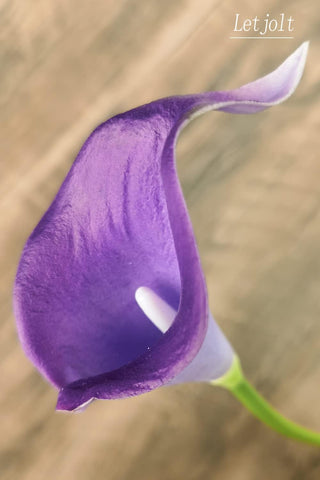 Letjolt Calla Lily Artificial Flowers 12Pcs Purple Realistic Bouquet