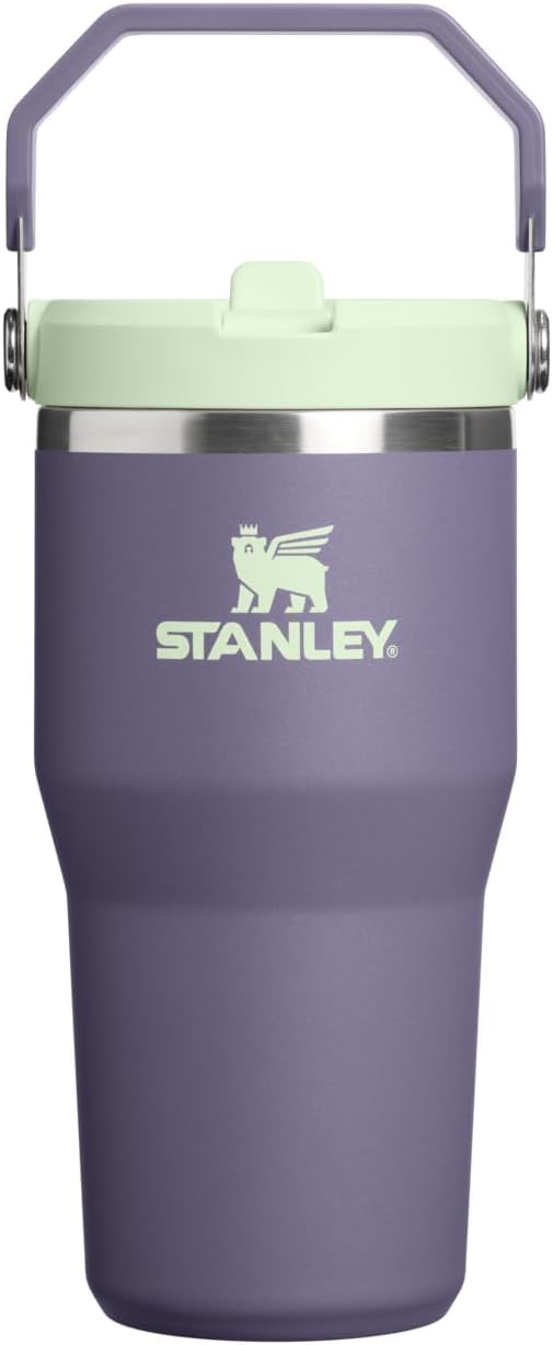 STANLEY IceFlow 2.0 Flip Straw Tumbler, 20 oz, Purple Umbra