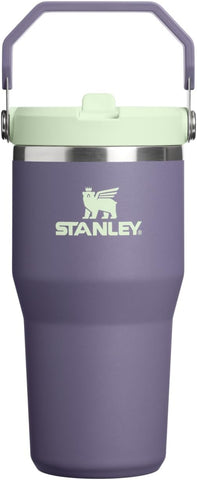 STANLEY IceFlow 2.0 Flip Straw Tumbler, 20 oz, Purple Umbra