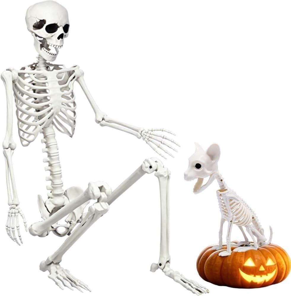 5.9Ft Halloween Life Size Skeleton with Cat for Halloween Party Decor