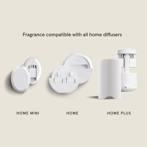 Pura x Simplicity Home Diffuser Refill, 2 Pack, Pine