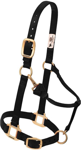Weaver Leather Original Adjustable Nylon Horse Halter, Weanling/Pony, Diva Pink